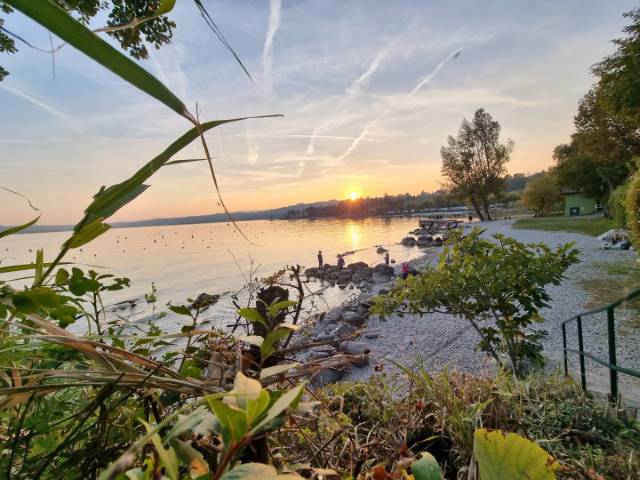 campery asone - 01 (1)